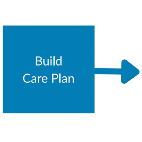 Build Care Plan Build Care Plan